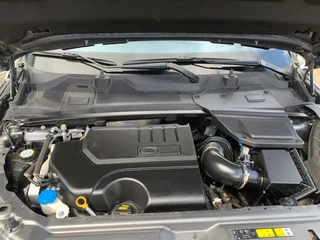 Land Rover Discovery Sport - afbeelding nr 41