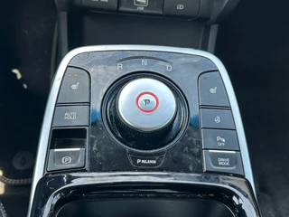 Kia e-Niro Kia E-Niro DynamicLine 64 kWh SOH 100% - afbeelding nr 13