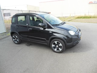 Fiat Panda Staat in Hoogeveen - afbeelding nr 2