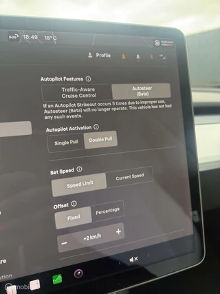 Tesla Model 3 Tesla Model 3 Long Range AWD 75 kWh Trekhaak Incl BTW Pearl White - afbeelding nr 17