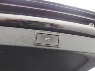 Škoda Octavia Škoda Octavia Combi 1.0 TSI Business Edition TREKHAAK / CARPLAY / SFEERVERLICHTING / NAVI / CLIMA / PDC / BLUETOOTH / CRUISE / NL-AUTO - afbeelding nr 39