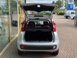 Fiat Panda Fiat Panda 1.2 Edizione Cool - afbeelding nr 19