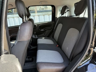 Fiat Panda Fiat Panda 1.2 69 PK City Cross | Clima | PDC | 15