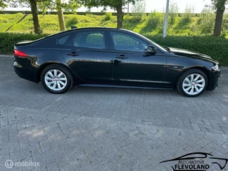 Jaguar XF Jaguar XF 2.0d Corporate Edition R-Sport, Groot O.H. Lees - afbeelding nr 7