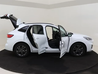 Ford Kuga - afbeelding nr 14