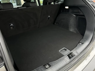 Ford Kuga Ford Kuga 2.5 PHEV Titanium - afbeelding nr 10