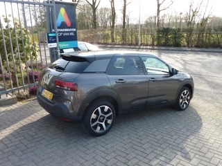 Citroën C4 - afbeelding nr 5