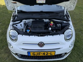 Fiat 500C Fiat 500C Bicolore Nero-Bianco Cabriolet Climate/Cruise - afbeelding nr 14