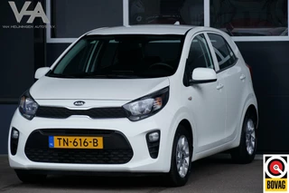 Kia Picanto - 253050076-0