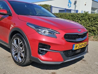Kia XCeed Zondag OPEN! - afbeelding nr 4
