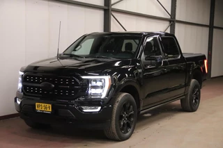 Ford F-150 - 376499150-0