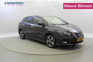 Nissan Leaf - afbeelding nr 1