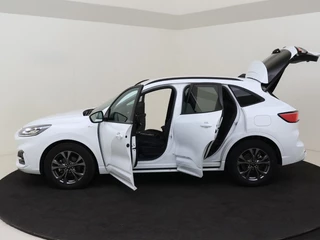 Ford Kuga - afbeelding nr 10