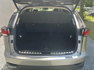 Lexus NX Lexus NX 300h AWD President Line - afbeelding nr 15