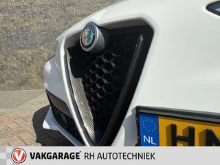 Alfa Romeo Stelvio - afbeelding nr 10