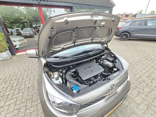 Kia Picanto Kia Picanto 1.0 CVVT Design Edition Brown Pack Clima|Navi|Camera|Leer|Nap!! - afbeelding nr 30