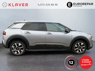 Citroën C4 Cactus - afbeelding nr 6