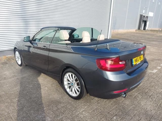 BMW 2 Serie BMW 2-serie Cabrio 218i High Executive, airco,navigatie,stoelverwarming,parkeersensoren,cruisecontrol, - afbeelding nr 8