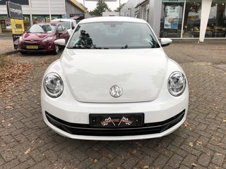 Volkswagen Beetle - afbeelding nr 11