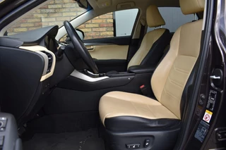 Lexus NX Lexus NX 300H AWD LUXURY LINE, Camera, Cruise - afbeelding nr 13