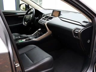 Lexus NX - afbeelding nr 13