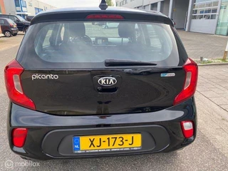 Kia Picanto Kia Picanto 1.0 MPi DynamicLine Navigatie , Camera , Bluetooth , Apple carplay - Android Auto , Airco , Cruise controle , Velgen - afbeelding nr 4