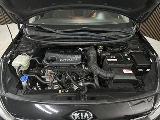 Kia Rio - afbeelding nr 6