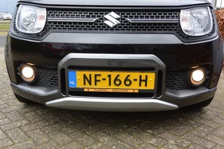 Suzuki Ignis - afbeelding nr 3