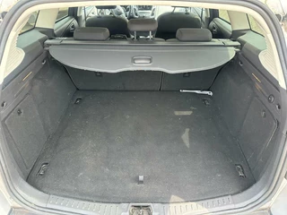 Ford Focus Ford Focus Wagon 1.5 Titanium Navi LED Cruise Climate Stuur/Stoelverwarming Sensoren - afbeelding nr 7