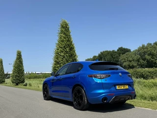 Alfa Romeo Stelvio Alfa Romeo Stelvio 2.0 T Q4 Veloce My24!! Blu Misano! 21inch - afbeelding nr 31
