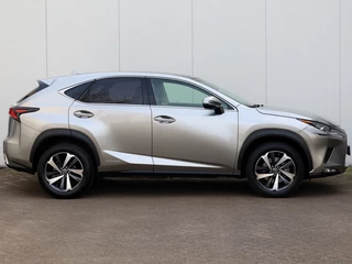 Lexus NX - afbeelding nr 6