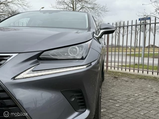 Lexus NX Lexus NX 300h AWD Premium | Pano | Leer | Stoelverwarming - afbeelding nr 3