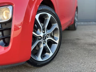 Kia Picanto Kia Picanto 1.0 Design Edition / Luxe uitvoering! - afbeelding nr 8