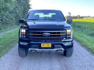 Ford F-150 - afbeelding nr 2