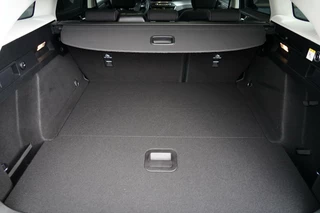 Ford Focus Ford Focus Wagon 1.0 EcoBoost Titanium Business, veel opties, trekh. - afbeelding nr 20