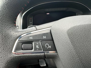 SEAT Ibiza App Connect - afbeelding nr 20