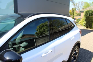 Ford Kuga | Winterpakket | Technology pack | BLIS | Navigatie | Head-up - afbeelding nr 56