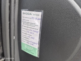 Škoda Octavia Skoda Octavia Greentech AUTOMAAT LEDER SCHUIFKANTELDAK - afbeelding nr 13