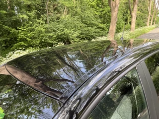 Renault Captur - afbeelding nr 64