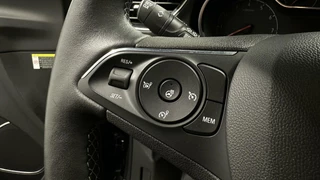 Opel Grandland X Opel Grandland X 1.2 Turbo Business Executive CAMERA LEER CARPLAY NAVIGATIE - afbeelding nr 22