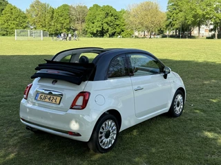 Fiat 500C Fiat 500C Bicolore Nero-Bianco Cabriolet Climate/Cruise - afbeelding nr 8