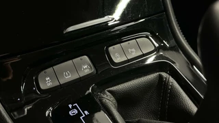 Opel Grandland X Opel Grandland X 1.2 Turbo Business Executive CAMERA LEER CARPLAY NAVIGATIE - afbeelding nr 36