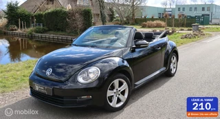 Volkswagen Beetle - 338745896-0