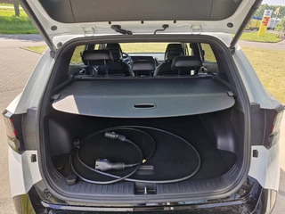 Kia Sportage - afbeelding nr 8