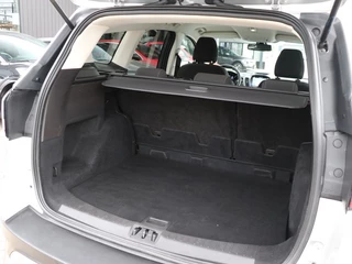 Ford Kuga - afbeelding nr 7