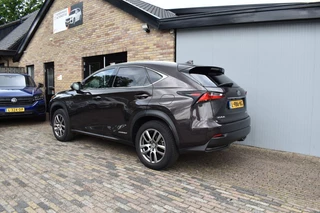 Lexus NX Lexus NX 300H AWD LUXURY LINE, Camera, Cruise - afbeelding nr 6