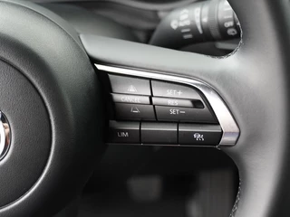 Mazda 3 Mazda 3 2.0 SkyActive-X 186 pk Nagisa - afbeelding nr 15