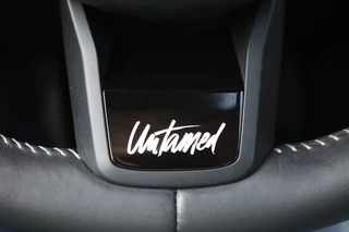 MINI Countryman MINI Countryman Mini 2.0 Cooper S E ALL4 Untamed Edition Pano/Leder/Camera/Head-up/Keyless/LED/ACC/HK/Elek. stoel+mem/18