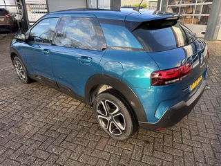 Citroën C4 Cactus - afbeelding nr 4