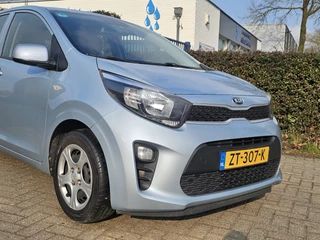 Kia Picanto Zondag OPEN! - afbeelding nr 3